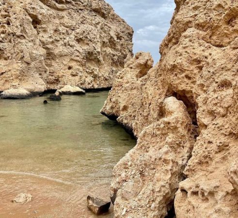 رحلة راس محمد نصف يوم بالباص