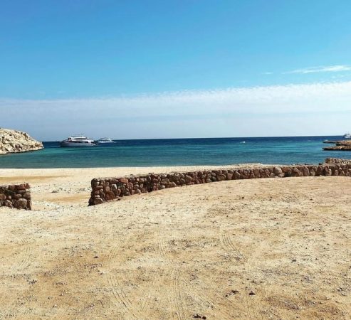 رحلة راس محمد نصف يوم بالباص