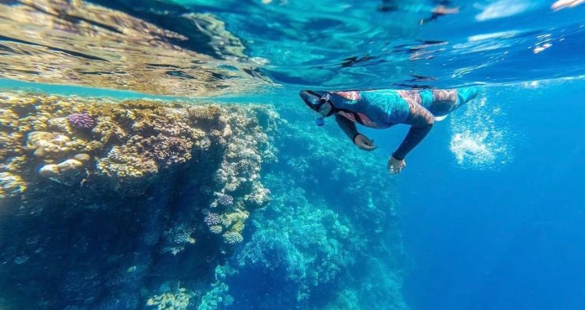 رحلة راس محمد نصف يوم بالباص