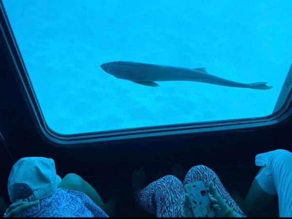 الغواصة شرم الشيخ